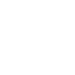 Black and white star medal icon