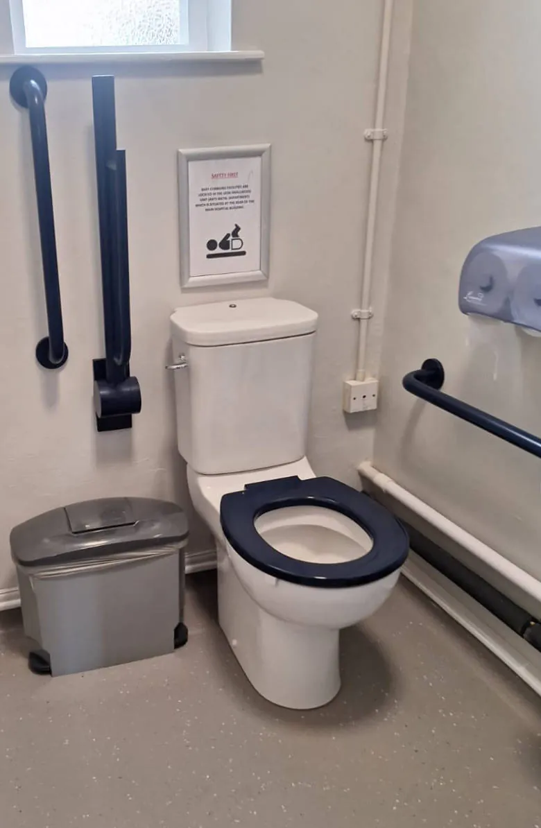 Accessible toilet with support rails and bin